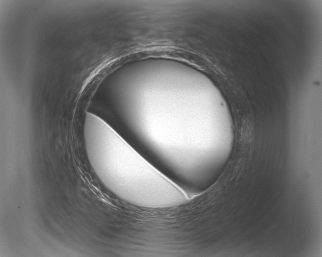 X0000086291400200703300849