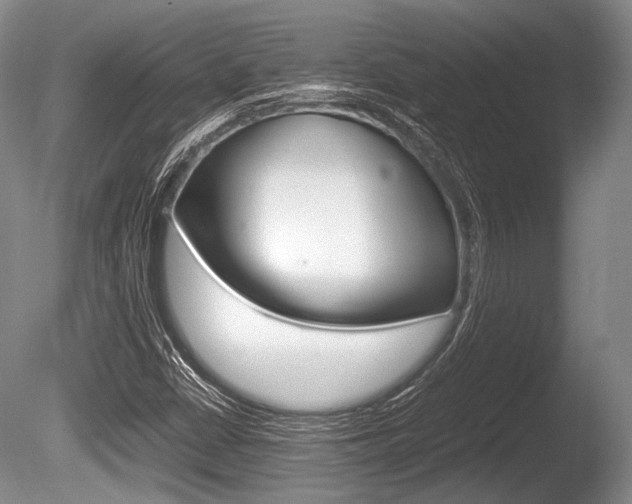 X0000086291402200703300849