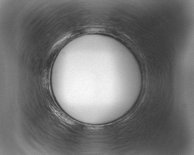X0000086291403200703300849