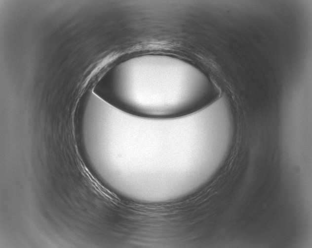 X0000086291404200703300849
