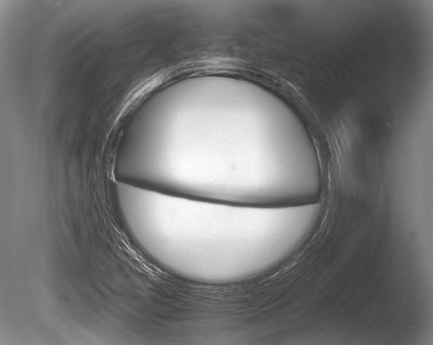 X0000086291405200703300849