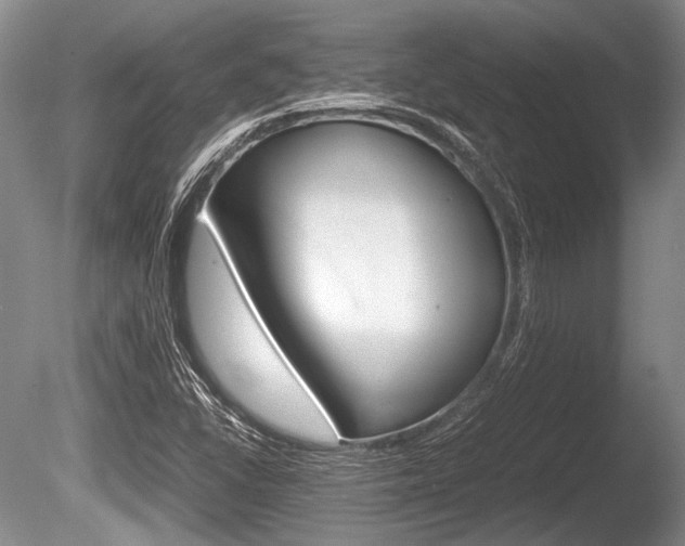 X0000086291406200703300849