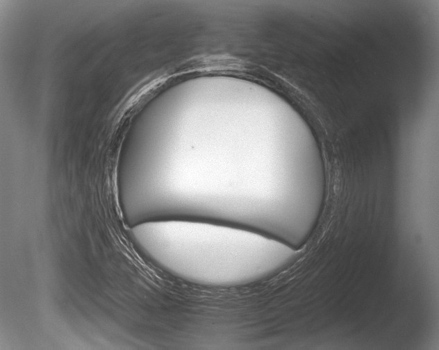 X0000086291407200703300849