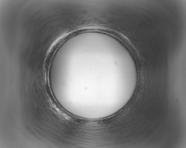 X0000086291408200703300849