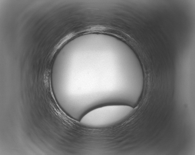 X0000086291409200703300849