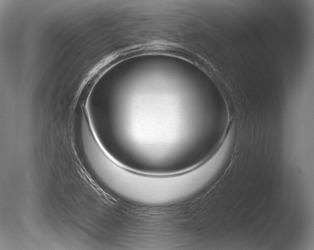 X0000086291410200703300849