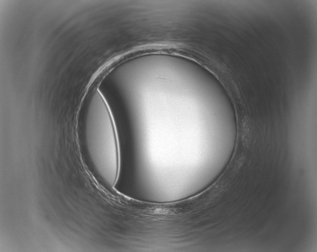 X0000086291412200703300849