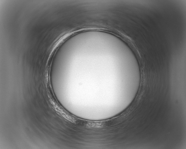 X0000086291415200703300850