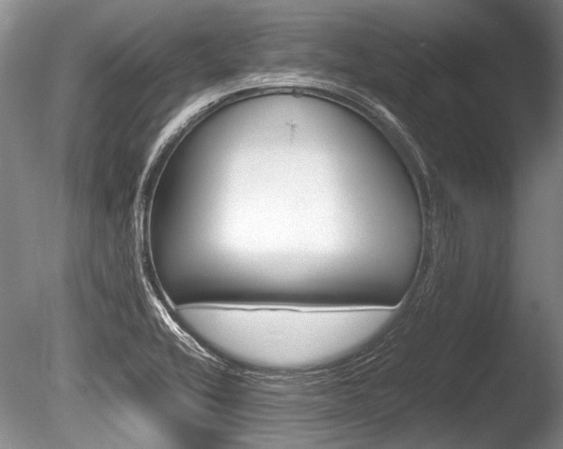X0000086291416200703300850