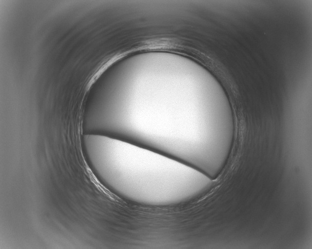 X0000086291417200703300850