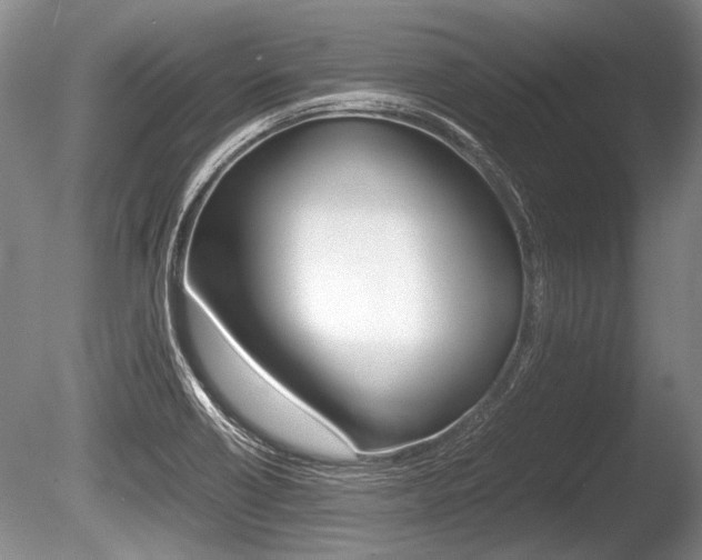 X0000086291418200703300850
