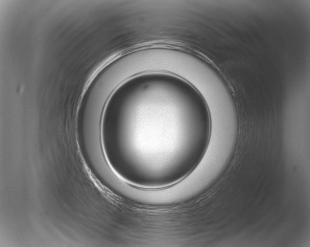 X0000086291426200703300850
