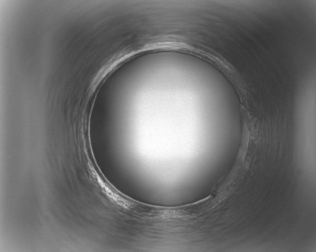 X0000086291430200703300850