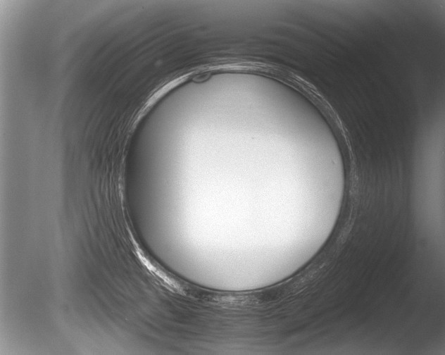 X0000086291433200703300850