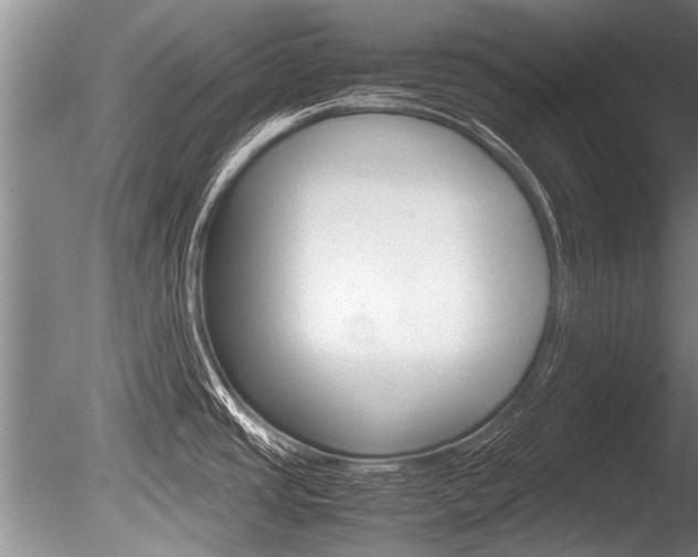 X0000086291437200703300850