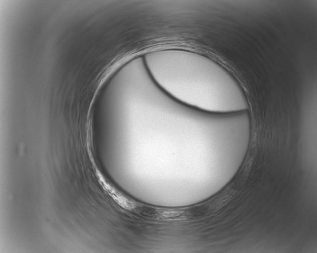 X0000086291439200703300850