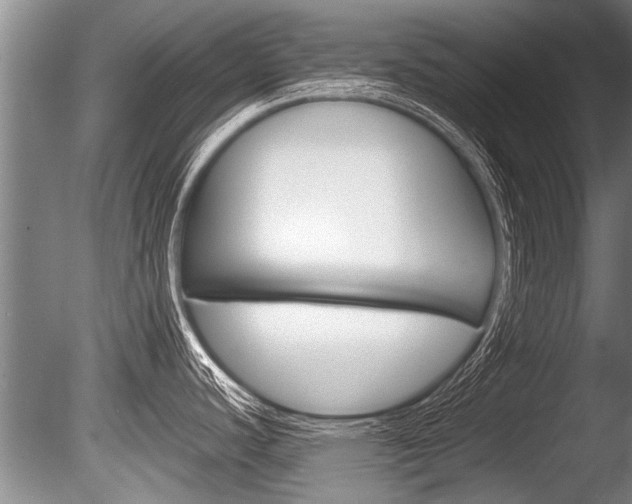 X0000086291440200703300850