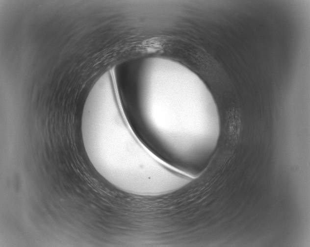 X0000086291442200703300849