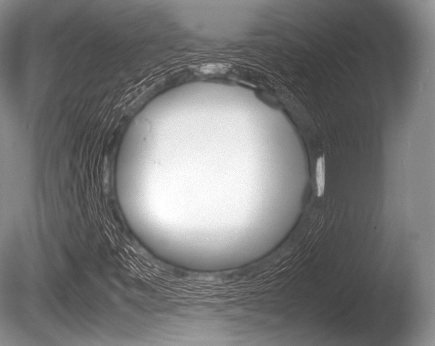 X0000086291443200703300849