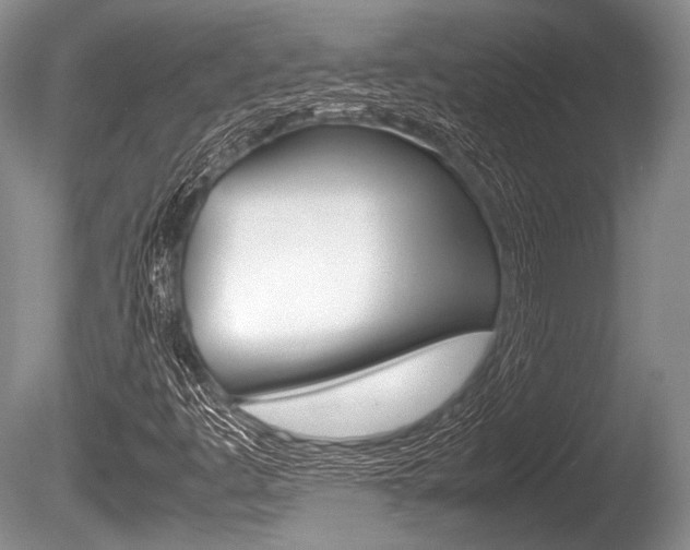 X0000086291445200703300849