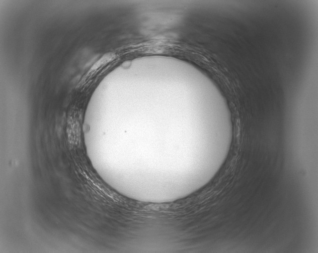 X0000086291446200703300849