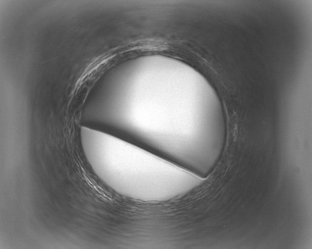 X0000086291448200703300849