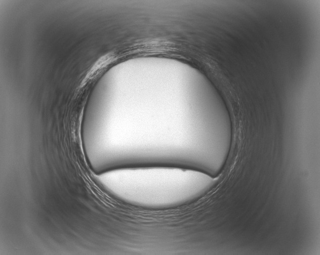X0000086291451200703300849