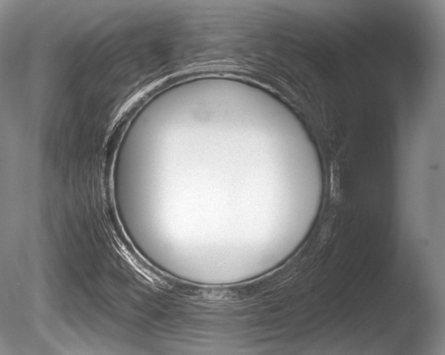 X0000086291452200703300849