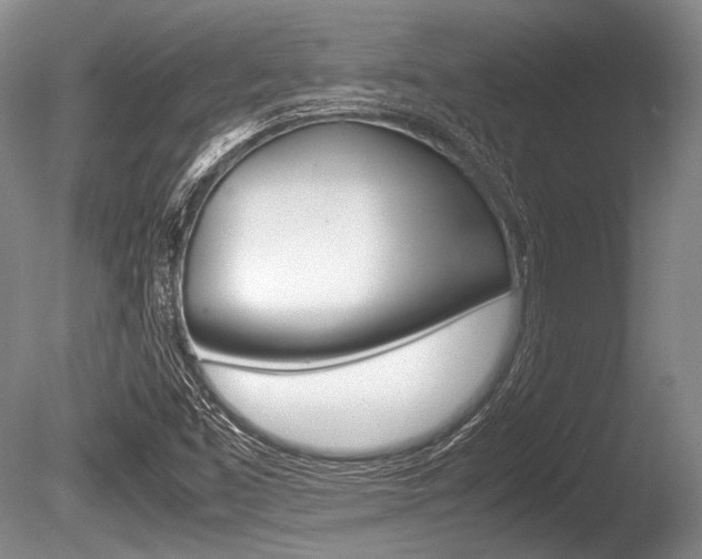 X0000086291453200703300849