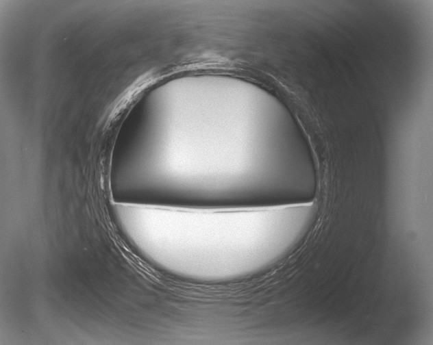 X0000086291455200703300849