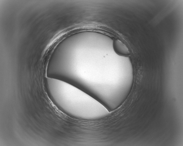 X0000086291456200703300849