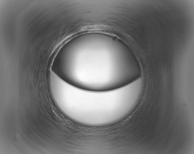 X0000086291457200703300849