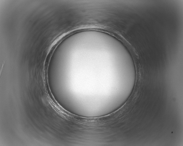 X0000086291460200703300849