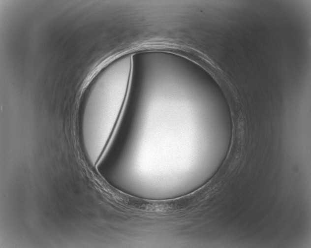 X0000086291461200703300849