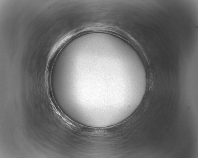 X0000086291464200703300849