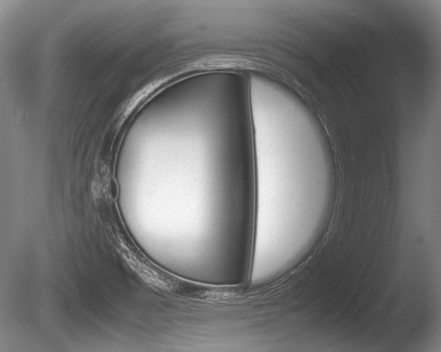 X0000086291465200703300849