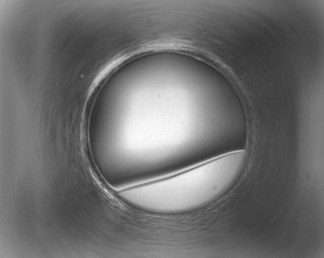 X0000086291469200703300849