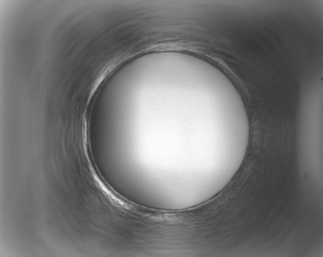 X0000086291476200703300849