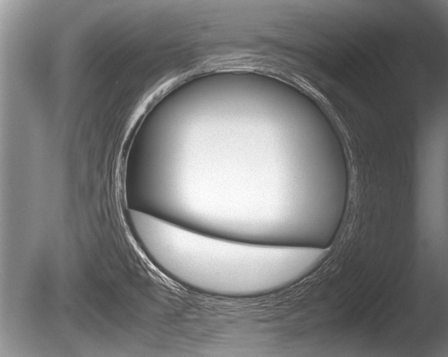 X0000086291477200703300849