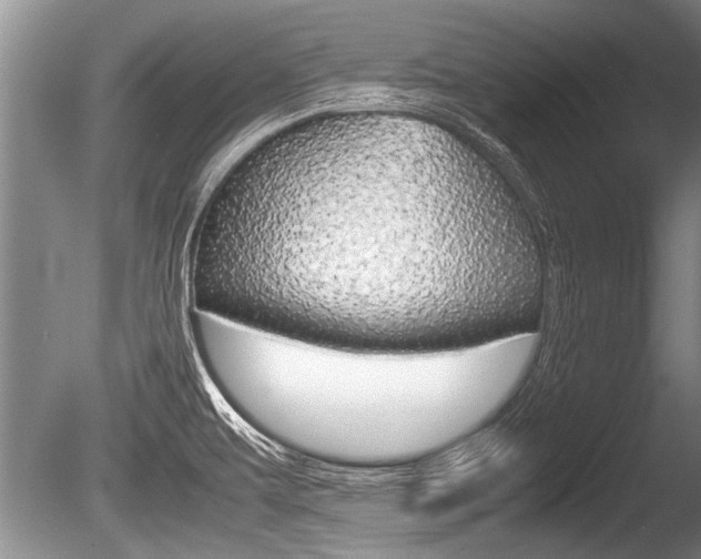 X0000086291479200703300848