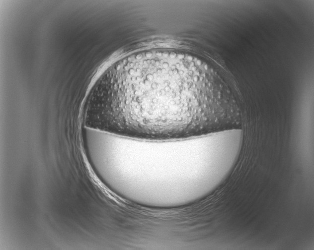 X0000086291483200703300848