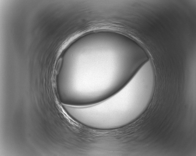 X0000086291485200703300848