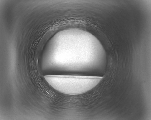 X0000086291489200703300847