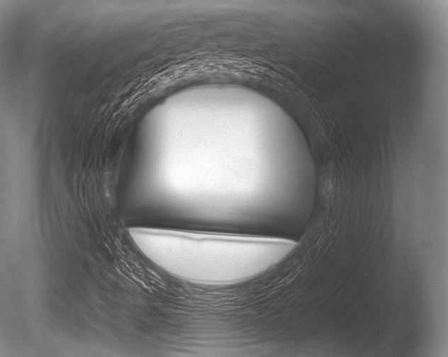 X0000086291490200703300848