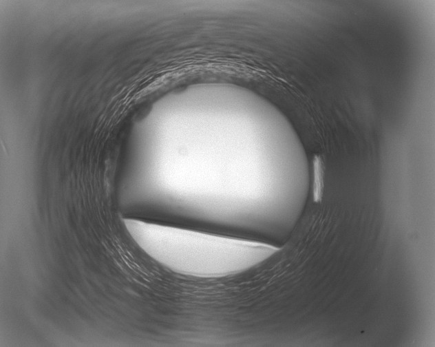 X0000086291491200703300848