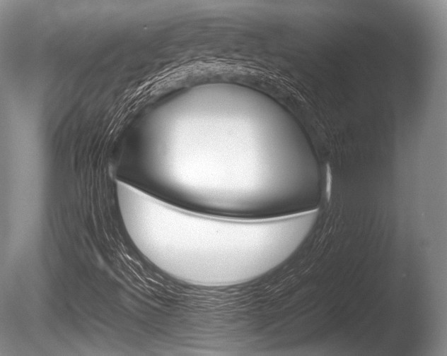 X0000086291492200703300848