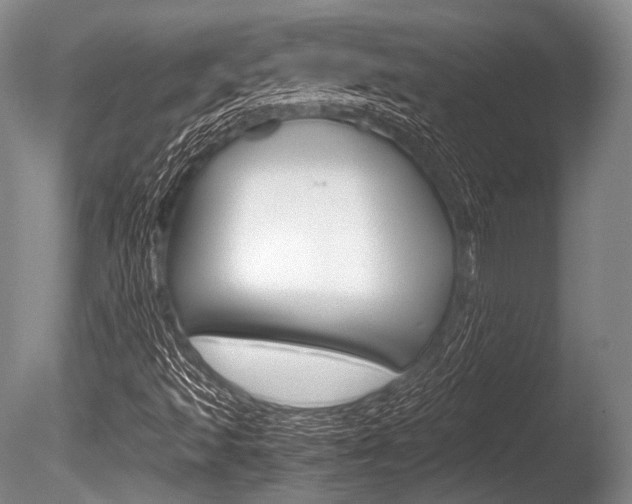 X0000086291493200703300848