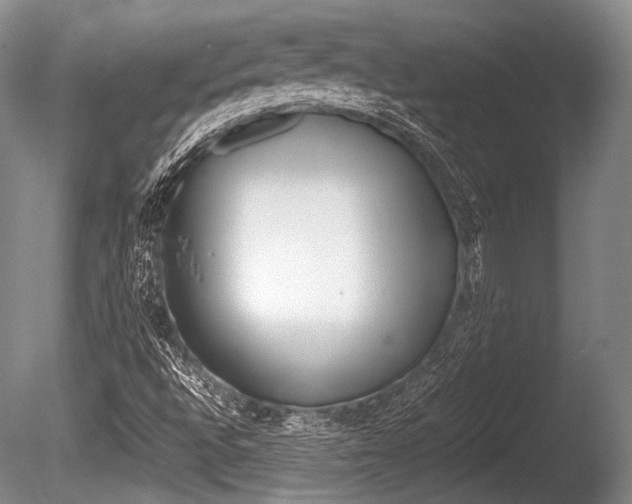X0000086291496200703300848