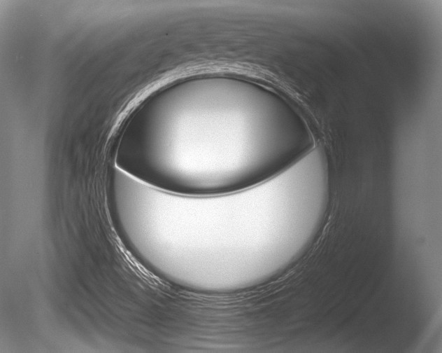 X0000086291500200703300848