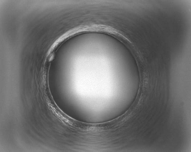 X0000086291506200703300848